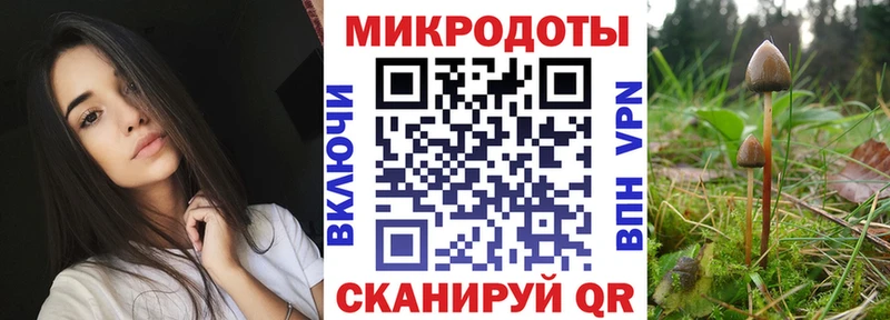 даркнет клад  как найти закладки  Тимашёвск  Галлюциногенные грибы Psilocybe 